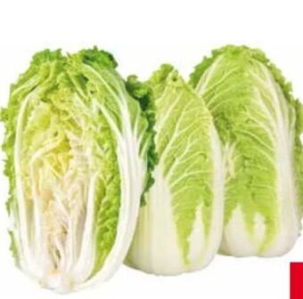 Transgourmet Chinakohl Angebot