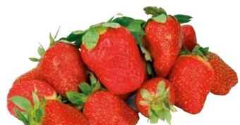 Transgourmet Erdbeeren Angebot