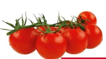 Transgourmet Cherry Rispentomaten Angebot