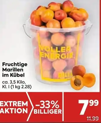 Billa Fruchtige Marillen im Kübel Angebot