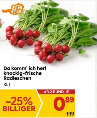 Billa Radieschen Angebot