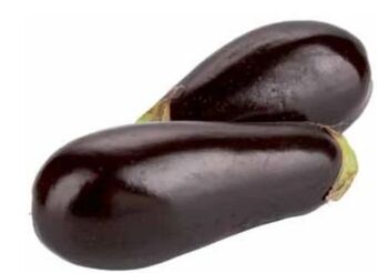 Transgourmet Melanzani Angebot