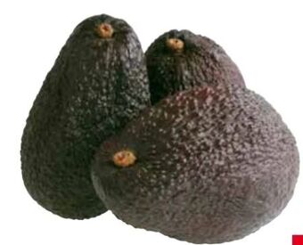 Transgourmet Avocado Hass Angebot