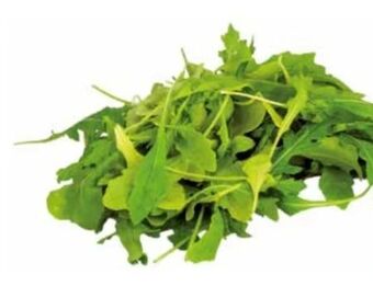 Transgourmet Bio Rucola Angebot