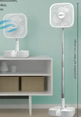 NKD Klappbarer Ventilator Angebot