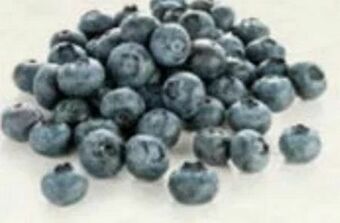 Hofer Heidelbeeren Angebot
