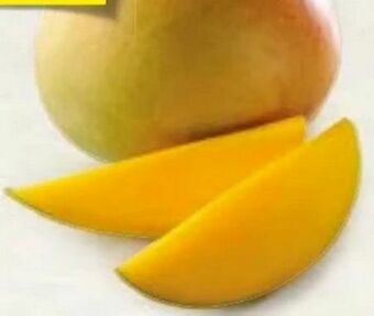 Hofer Mango Angebot