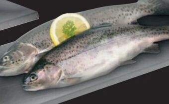 PENNY Forelle Angebot