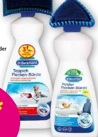 Norma Teppich Flecken-Bürste Angebot