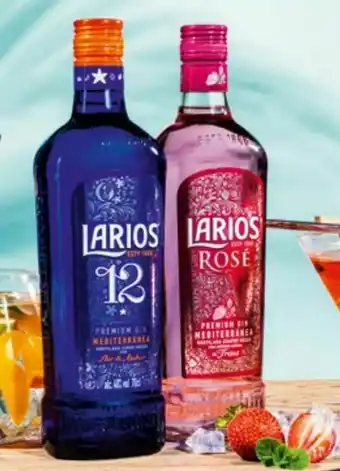 Hofer Gin Angebot