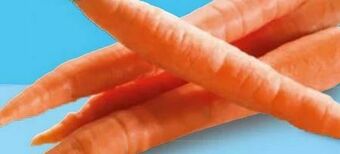 Hofer Karotten Angebot