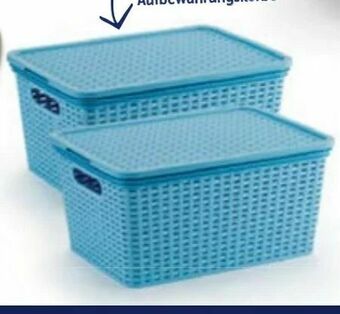 Hofer Aufbewahrungskorb Angebot
