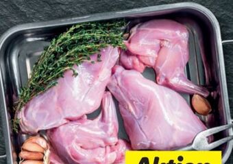 Lidl Kaninchen Angebot