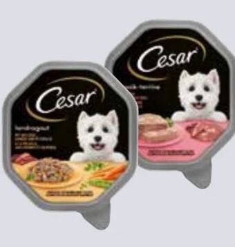 Interspar Hundenahrung Angebot
