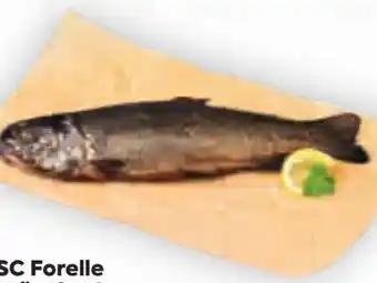 Billa Forelle Geräuchert Angebot