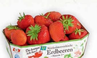 Billa Erdbeeren Angebot