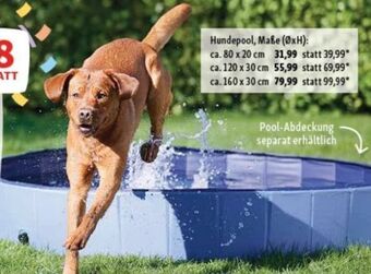Fressnapf Hundepool Angebot