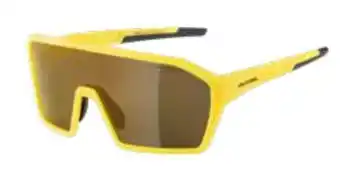 Sport 2000 Sonnenbrille Ram HM+ Angebot