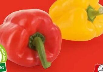 Hofer Paprika Angebot