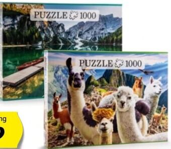 Hofer Puzzle Angebot
