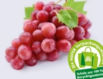 Hofer Trauben Angebot