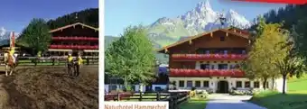 Lidl Reisen Salzburger Land-Filzmoos Angebot