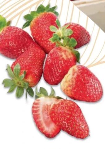 Metro Erdbeeren Angebot