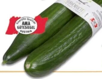 Metro Gurken Angebot