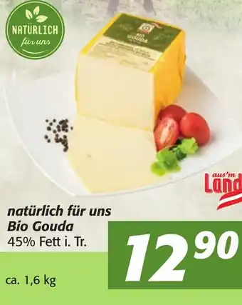 Strasser Markt Bio Gouda 1,6 kg Angebot