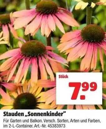 Hagebau Stauden Sonnenkinder 2-L 45383973 Angebot