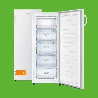 0815 Gefrierschrank F4141PW Angebot