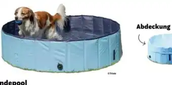 Das Futterhaus Hundepool Angebot