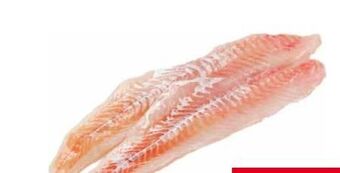 Transgourmet Kabeljaufilet Angebot