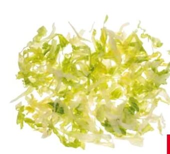 Transgourmet Eisbergsalat Angebot
