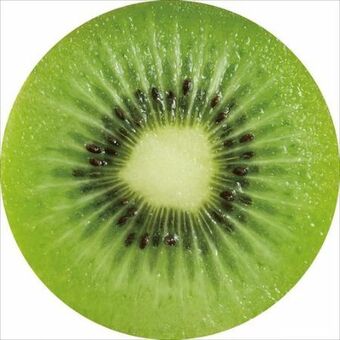 Möbelix Sitzkissen Fruits Angebot