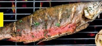 Lidl Forelle Angebot