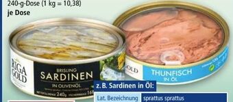 Norma Fisch Spezialitäten Angebot