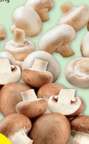 PENNY Champignons Angebot