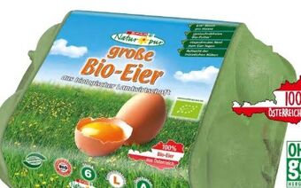 Spar Bio-Eier Angebot