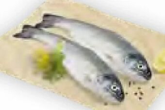 Billa Forelle Angebot