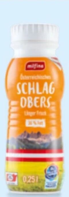 Hofer Schlagobers Angebot