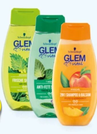 Hofer Glem Vital Shampoo Angebot
