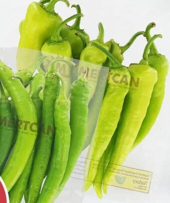 ETSAN Pfefferoni Angebot