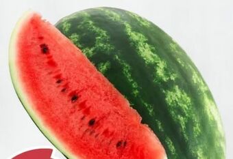 ETSAN Wassermelone Angebot