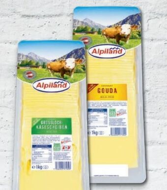 Metro Käsescheiben Angebot