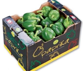 Metro Paprika Angebot