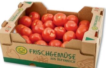 Metro Tomaten Angebot