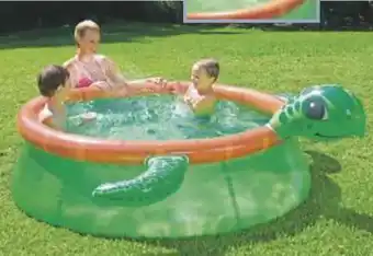 Tchibo Eduscho Quick-Pool Schildkröte Angebot