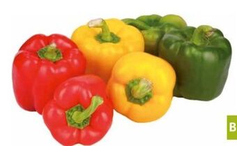 Transgourmet Bio Paprika Mix Angebot