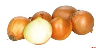 Transgourmet Zwiebel Angebot